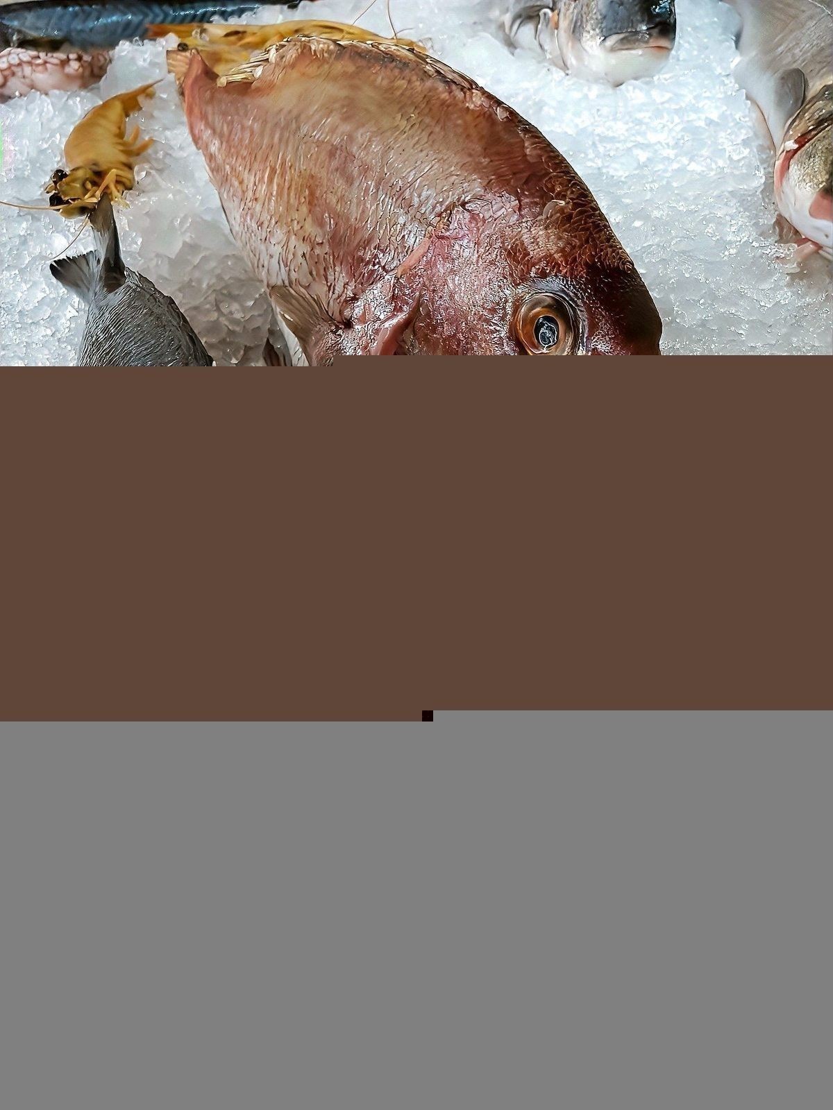 龍魚爛鰭恢復后需要注意什么？