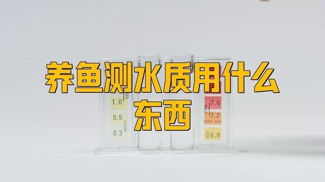 銀龍魚爛尾爛鰭怎么辦呢圖片視頻大全
