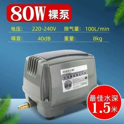 紅龍魚品牌排行榜最新價格（紅龍魚品牌排行榜最新價格表）