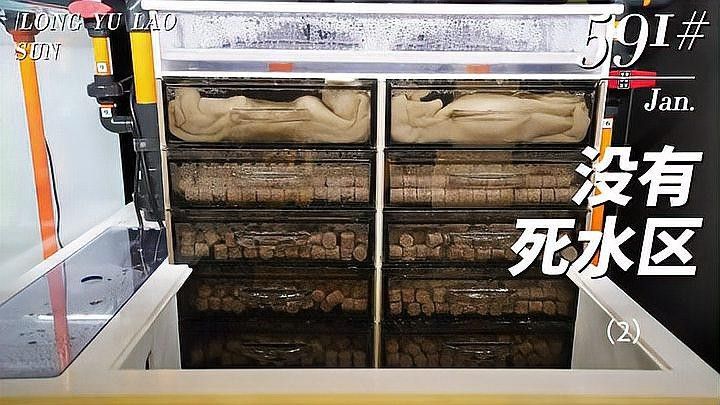 龍魚精養缸