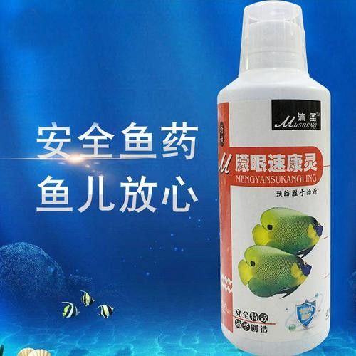 龍魚眼睛有白色絮狀物圖片大全