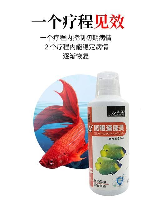 龍魚眼睛有白色絮狀物圖片大全