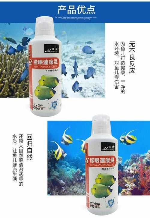 龍魚眼睛有白色絮狀物圖片大全