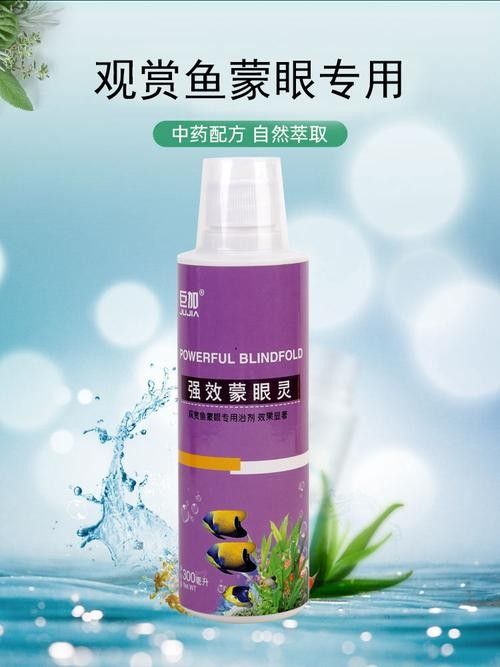 龍魚眼睛有白色絮狀物圖片大全