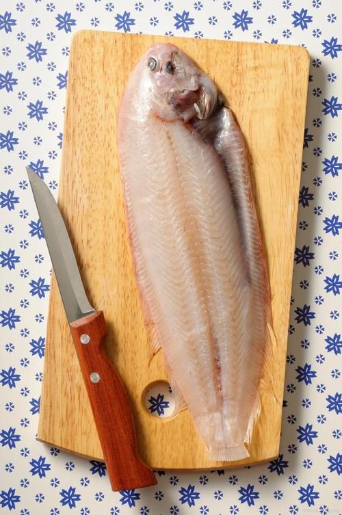 龍利魚是什么魚圖片