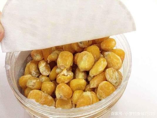 龍魚水質檢測頻率：龍魚水質檢測頻率應該是定期的，