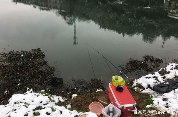 龍魚水質檢測頻率：龍魚水質檢測頻率應該是定期的，