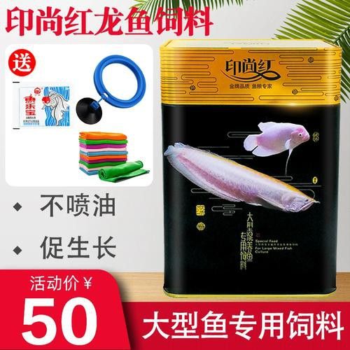 戰船魚可以和龍魚混養嗎圖片大全