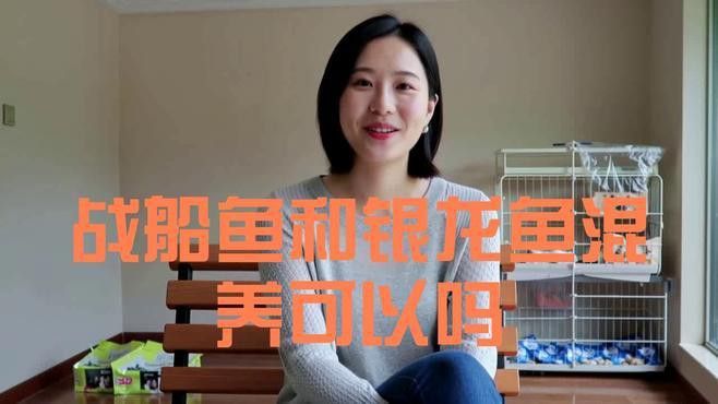 戰船魚可以和龍魚混養嗎圖片大全