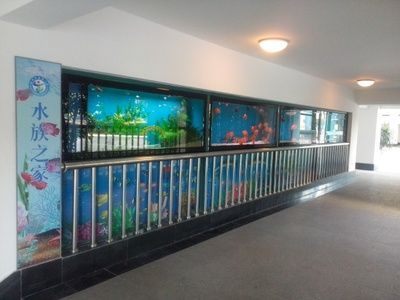 品牌紅龍bb祥龍魚場：祥龍魚場的紅龍品牌