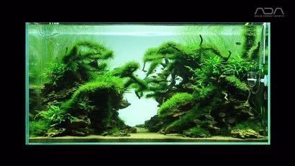 48長30寬魚缸造景，水草泥與鵝卵石造景對(duì)比