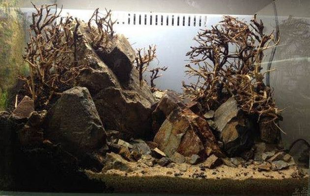 48長30寬魚缸造景，水草泥與鵝卵石造景對(duì)比