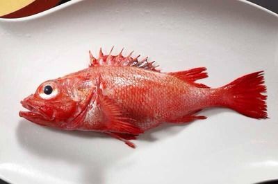 紅龍魚做菜（清蒸紅龍魚的做法步驟圖,）