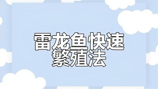彩虹雷龍魚繁殖時需要注意什么？