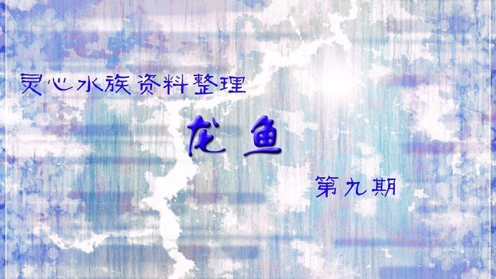 龍魚品種的區分圖：龍魚品種區分