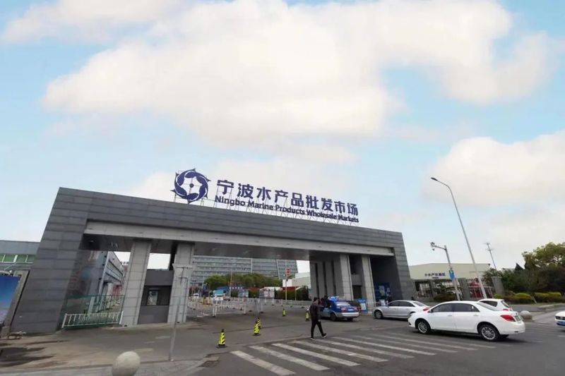 寧波龍魚批發市場在哪里