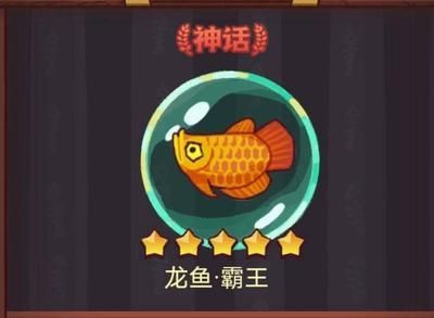 咸魚之王買哪個龍魚合適（《咸魚之王》不同龍魚的適用武將和屬性分析）