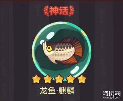 咸魚之王買哪個龍魚合適（《咸魚之王》不同龍魚的適用武將和屬性分析）