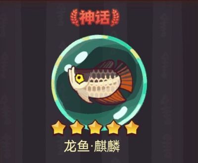 咸魚之王買哪個龍魚合適（《咸魚之王》不同龍魚的適用武將和屬性分析）