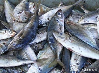 龍魚(yú)眼充血怎么治（龍魚(yú)眼充血可能由多種因素引起，治療方法需要根據(jù)不同原因進(jìn)行調(diào)整）