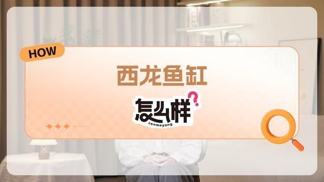 龍魚缸需要哪些特殊的設備