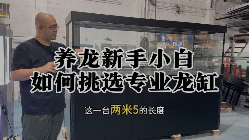 龍魚缸需要哪些特殊的設備