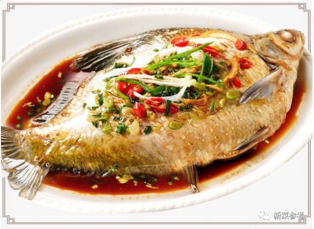龍魚哪里產的好吃：泰國龍魚養殖技術