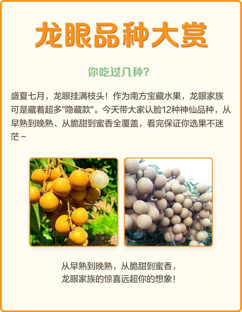 如何判斷龍眼菩提的產地？ 如何判斷龍眼菩提的產地？ 龍魚百科 第2張