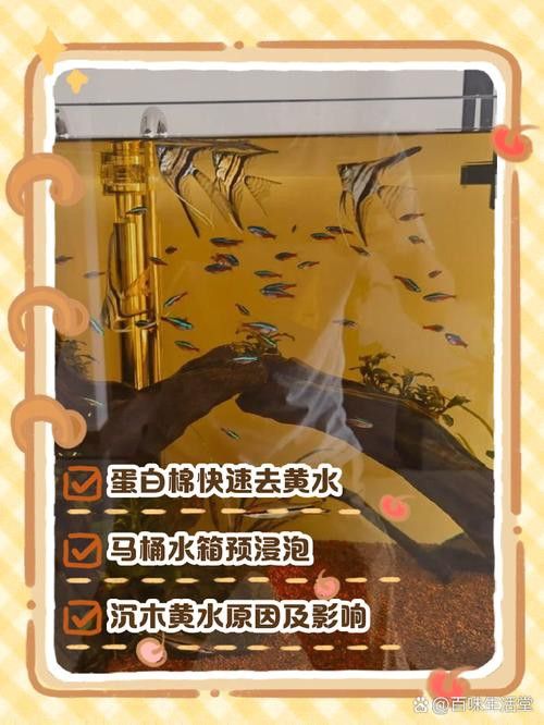 紅龍魚缸放沉木好嗎圖片大全 紅龍魚缸放沉木好嗎圖片大全 龍魚百科 第24張