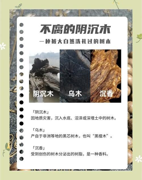 紅龍魚缸放沉木好嗎圖片大全 紅龍魚缸放沉木好嗎圖片大全 龍魚百科 第23張