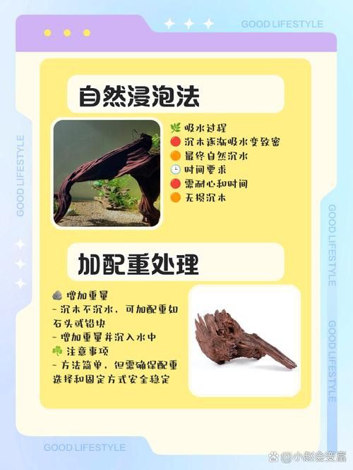 紅龍魚缸放沉木好嗎圖片大全 紅龍魚缸放沉木好嗎圖片大全 龍魚百科 第25張