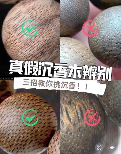 紅龍魚缸放沉木好嗎圖片大全 紅龍魚缸放沉木好嗎圖片大全 龍魚百科 第38張
