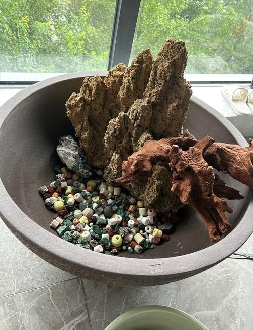 紅龍魚缸放沉木好嗎圖片大全 紅龍魚缸放沉木好嗎圖片大全 龍魚百科 第36張