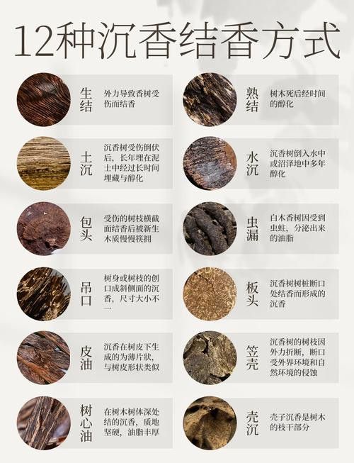 紅龍魚缸放沉木好嗎圖片大全 紅龍魚缸放沉木好嗎圖片大全 龍魚百科 第39張