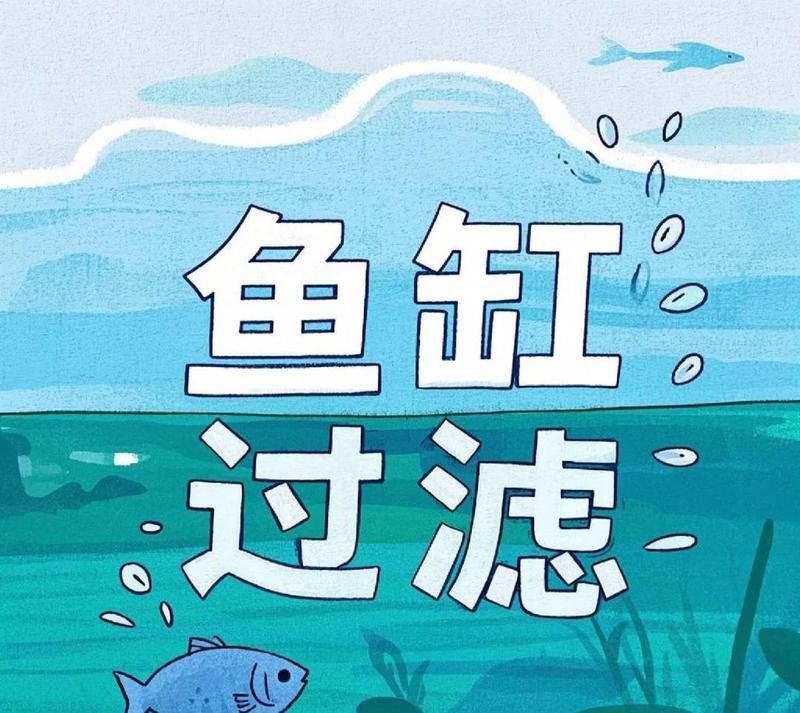 哪種過濾系統最適合過背金龍魚？