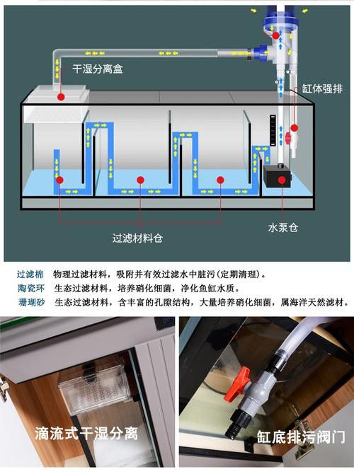 哪種過(guò)濾系統(tǒng)最適合過(guò)背金龍魚？