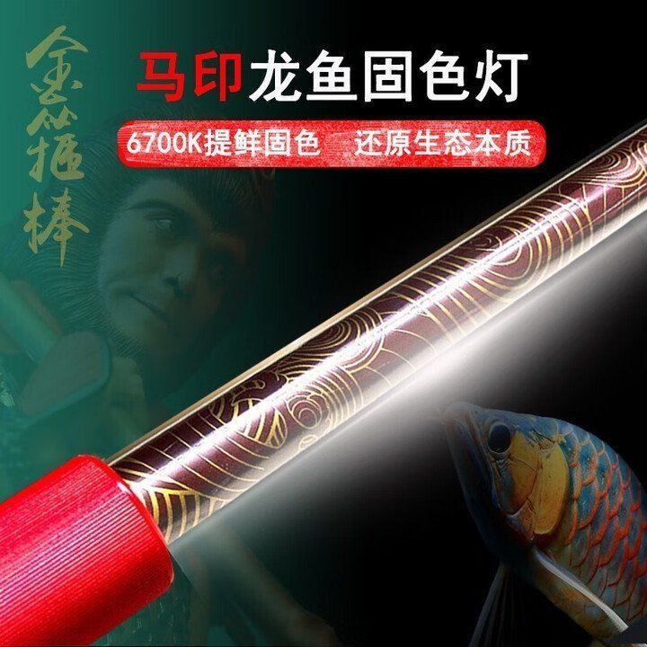 馬印神燈照金龍是什么效果