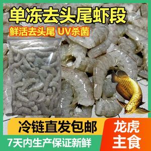 蝦里塞顆粒飼料喂龍魚（如何訓(xùn)練龍魚接受顆粒飼料）