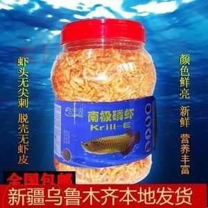蝦里塞顆粒飼料喂龍魚（如何訓(xùn)練龍魚接受顆粒飼料）