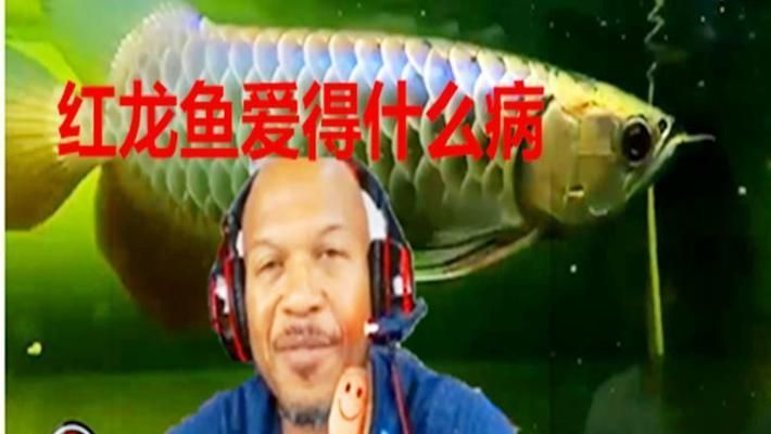 龍魚到家的危險期（新魚入缸前三天是危險期嗎）