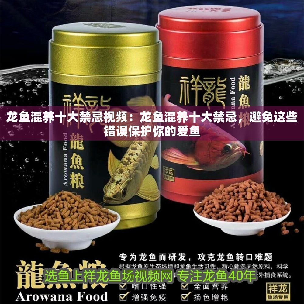 龍魚混養十大禁忌視頻：龍魚混養十大禁忌，避免這些錯誤保護你的愛魚