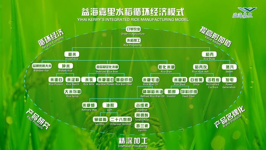 金龍魚科技創新