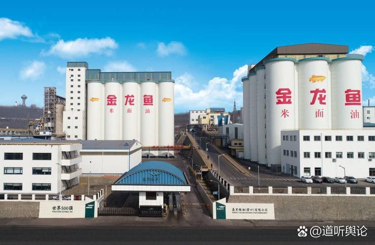 金龍魚科技創新