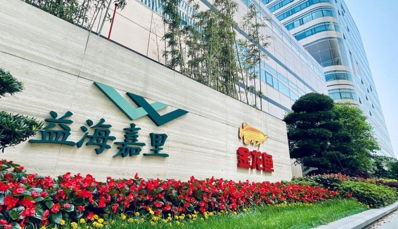 金龍魚科技創新