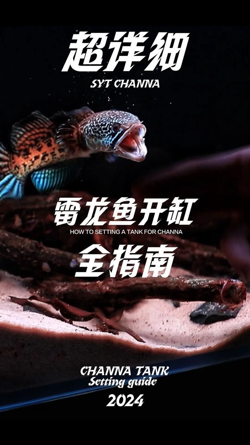 雷龍魚最佳水位圖