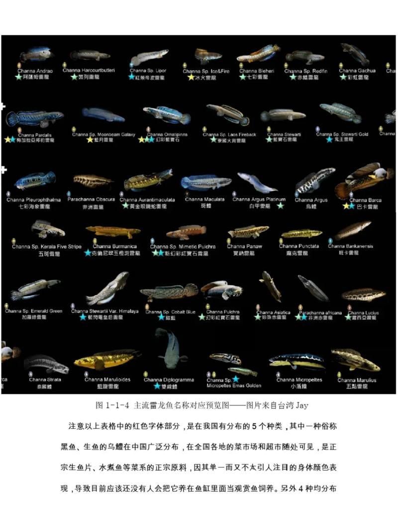 雷龍魚最佳水位圖