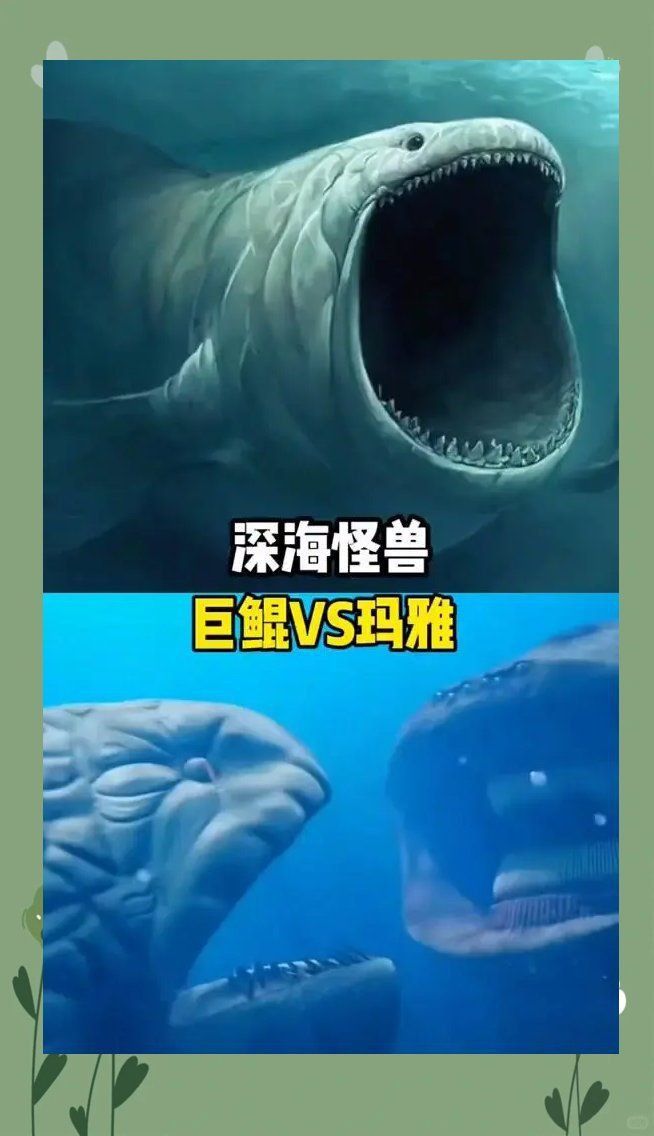 藍鯨VS巨鯤