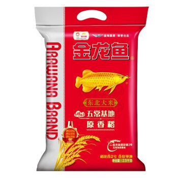 金龍魚眼睛上有白點(diǎn)用什么藥膏：金龍魚眼睛上有白點(diǎn)怎么辦