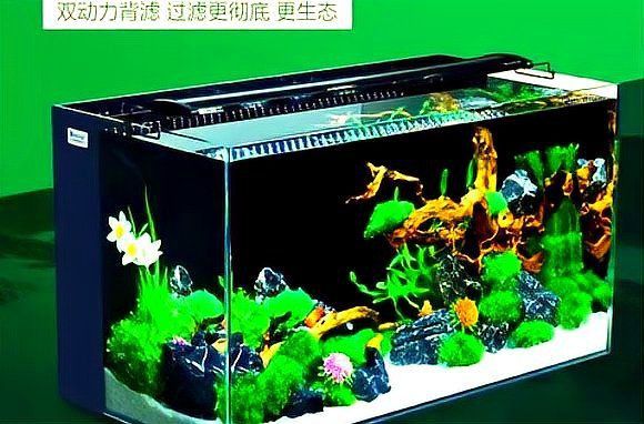 買(mǎi)魚(yú)缸好還是水族箱好
