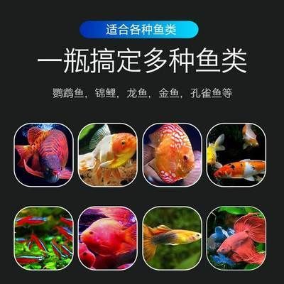 龍魚適合使用甲硝唑嗎？：甲硝唑可以治療龍魚內(nèi)寄生蟲嗎？